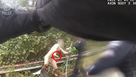 Policisté v americkém Seattlu zpacifikovali nahého muže s mačetou.