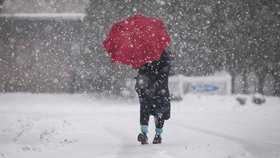 Do Česka míří mrazy, na přelomu roku se ochladí