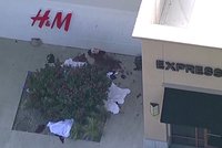 Masakr v Texasu: Po střelbě v nákupním centru 9 mrtvých včetně dětí, útočník je po smrti