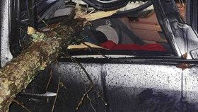 Miminko v kolébce odneslo tornádo: Našli ho živé v koruně stromu!
