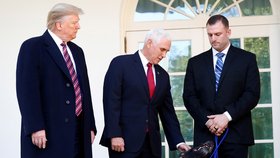 Americký prezident Donald Trump v Bílém domě přivítal neobvyklého hosta - služebního psa americké armády, který pomohl dopadnout vůdce Islámského státu abú Bakra Bagdádího