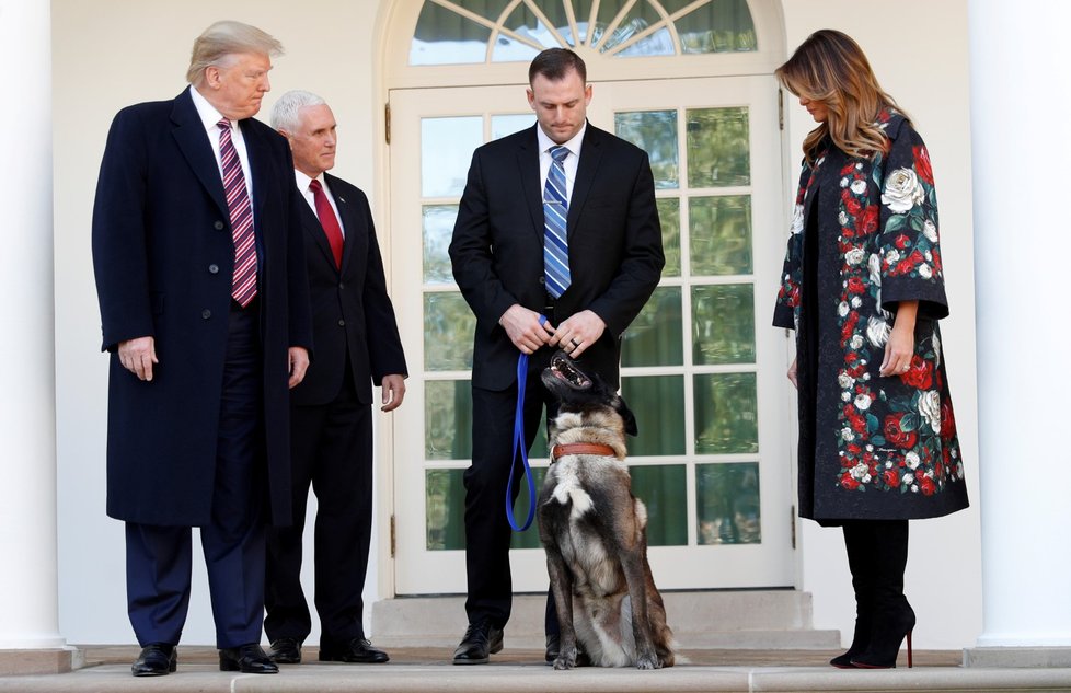 Americký prezident Donald Trump v Bílém domě přivítal neobvyklého hosta - služebního psa americké armády, který pomohl dopadnout vůdce Islámského státu abú Bakra Bagdádího