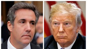 Bývalý osobní právník amerického prezidenta Donalda Trumpa Michael Cohen učinil s prokuraturou dohodu, na jejímž základě by měl vyšetřovatelům poskytnout informace o ruské roli v amerických prezidentských volbách.