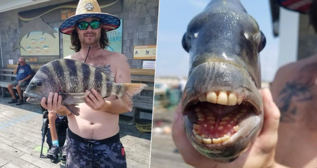 Nathan Martin chytil rybu s lidskými zuby.