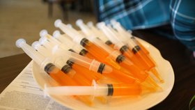 V USA pokračuje očkování proti covidu (23.1.2021)