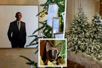 77 stromků, přes 80 tisíc žárovek i Obamův obraz: Taková je letos výzdoba Bílého domu
