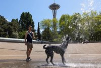 USA a Kanadu sužují vedra: Přes 35 °C přišlo nezvykle brzy, padají rekordy a šíří se požáry