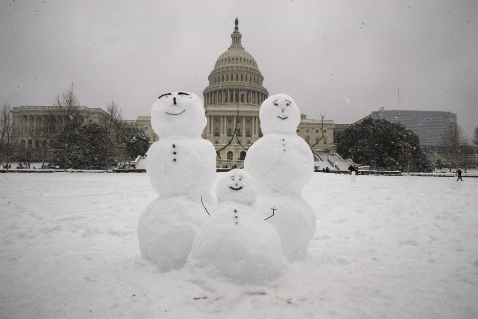 USA ve spáru kruté zimy, mrazy si vyžádaly už 7 obětí (14.01.2019).