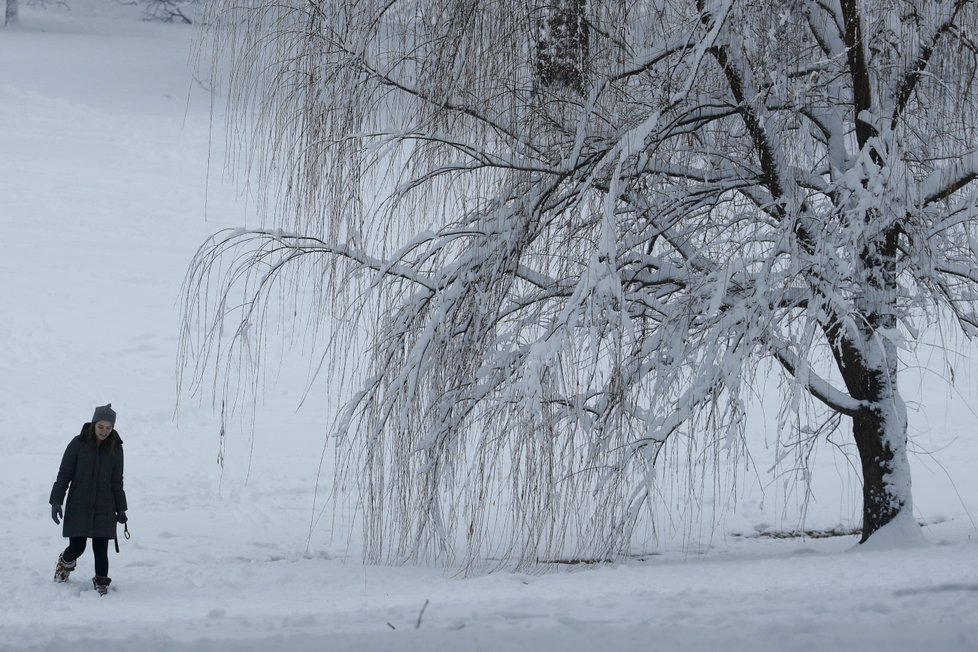 USA ve spáru kruté zimy, mrazy si vyžádaly už 7 obětí (14. 1. 2019).