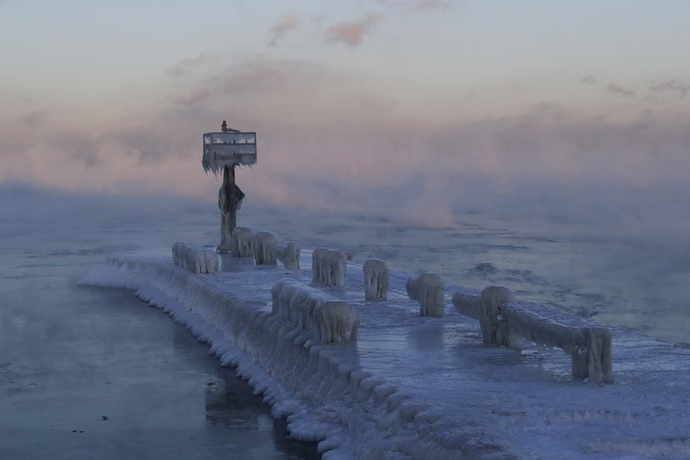 Spojené státy svírá zima, v některých oblastech je chladněji než na Antarktidě. Mrazy si vyžádaly už 8 obětí, (31.01.2019).