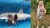 Dívka (19) přišla o nohu při koupání kvůli útoku žraloka. Teď bojuje o jejich záchranu