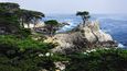 U Monterey jsme se vydali na okruh 17-Mile Drive po malém poloostrůvku s vyhlídkami na pobřeží, kterým dominovaly Osamělý cypřiš a Strašidelný strom.