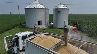 Obchodní válku USA s Čínou i Trumpův vztah s Mileiem silně formuje prostá komodita: sója pro prasata Obchodní válku USA s Čínou i Trumpův vztah s Mileiem silně formuje prostá komodita: sója pro prasata