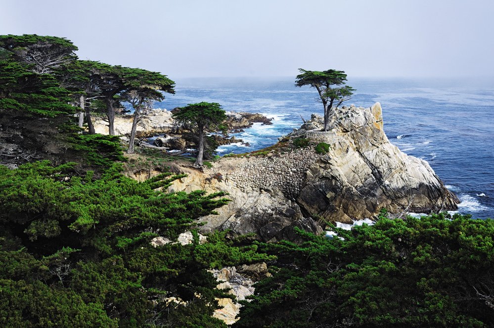 U Monterey jsme se vydali na okruh 17-Mile Drive po malém poloostrůvku s vyhlídkami na pobřeží, kterým dominovaly Osamělý cypřiš a Strašidelný strom.
