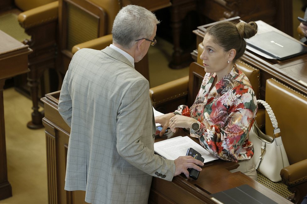 Projednávání úsporného balíčku ve Sněmovně: Marek Benda a Eva Decroix (oba ODS) (7. 9. 2023)