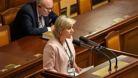 Projednávání úsporného balíčku ve Sněmovně: Mračková Vildumetzová (ANO), (7.9.2023)