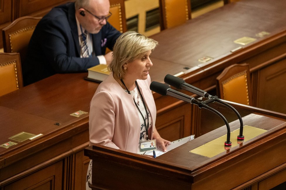 Projednávání úsporného balíčku ve Sněmovně: Mračková Vildumetzová (ANO) (7. 9. 2023)