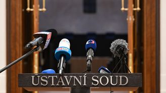 Celé rozhodnutí Ústavního soudu: Vláda musí umožnit Pavlovi účast na summitu NATO Celé rozhodnutí Ústavního soudu: Vláda musí umožnit Pavlovi účast na summitu NATO
