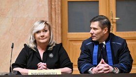 Ústavní soud zamítl stížnost ANO. Předsedkyně poslaneckého klubu ANO Alena Schillerová. (29. ledna 2025)