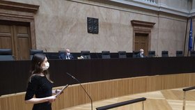 Ústavní soud v čele s Pavlem Rychetským změnil část volebního zákona.