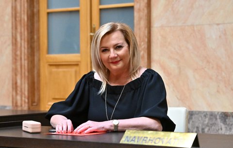 Ústavní soud smetl návrh ANO na zrušení důchodové reformy. A rýpl si do Schillerové i Babiše