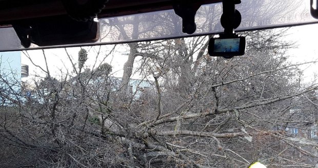 Následky silného vichru v Ústeckém kraji (17.1.2022)