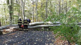 Hasiči měli práci s odklízením následků silného větru i v Ústeckém kraji.