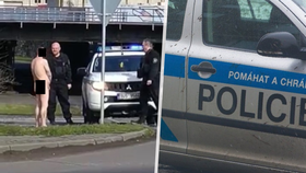 Naháč se neohroženě vydal do centra v Ústí nad Labem: Pouť mu překazili strážníci