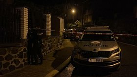 Policie v Ústí nad Labem zasahovala proti muži, který nožem ohrožoval rodinu. (28.9.2022)