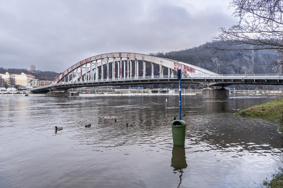 Rozvodněná řeka Labe v ústecké části Střekov (5. 1. 2024)
