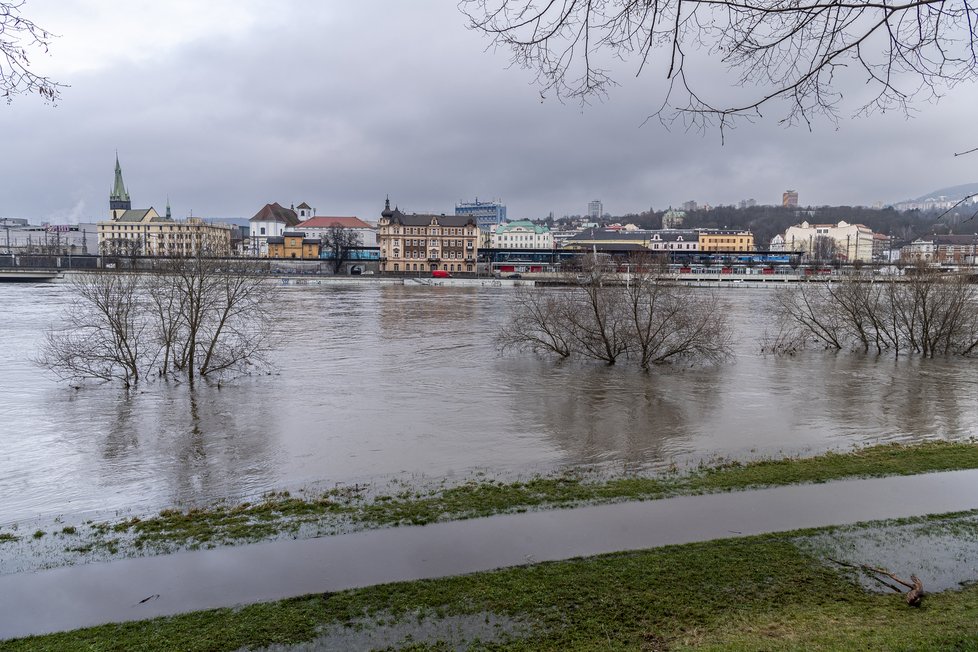 Rozvodněná řeka Labe v ústecké části Střekov (5.1.2024)