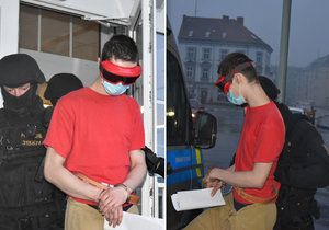 Mladík obviněný z vraždy seniorky v Ústí nad Labem.