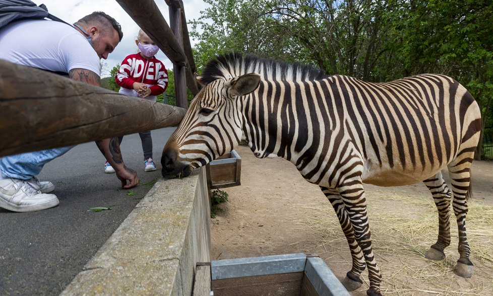 Ústecká zoo obnovila omezený provoz (1.5.2020)