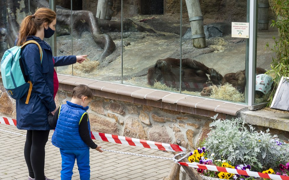 Ústecká zoo obnovila omezený provoz (1.5.2020)