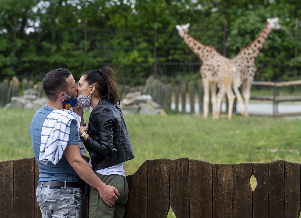 Ústecká zoo obnovila omezený provoz (1.5.2020)