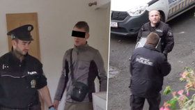 Policisté v bytě v Ústí nad Labem našli mrtvá a zbídačená zvířata.