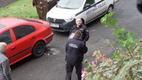 Policisté v bytě v Ústí nad Labem našli mrtvá a zbídačená zvířata.