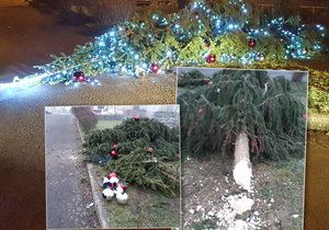 Neznámý vandal pokácel na Ústecku vánoční stromeček.