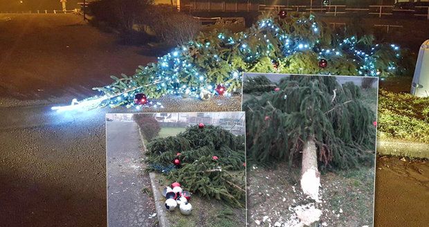 Na Ústecku neznámý vandal pokácel pětimetrový vánoční stromeček: Pátrá po něm policie