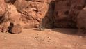 Záhadný monolit v poušti, ve státě Utah, se dosud jeví jako umělecké dílo