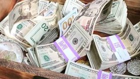 Chtěli lidem během pandemie zvednout náladu, tak jim připravili hledání pokladu. 5 tisíc dolarů (cca 110 tisíc korun) se našly za 4 dny.