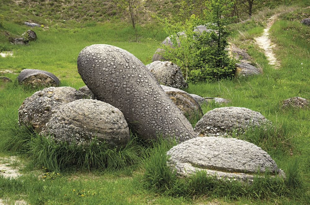 Kamenům zvaným trovanty se říká živé nebo rostoucí kameny. Jejich stáří se ale odhaduje k 6,5 milionu let...