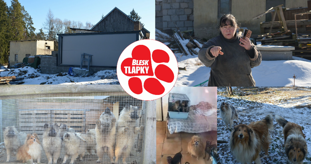 Nechutný byznys uprostřed lesa: Množitelka drží štěňata v klecích na morče, další psi mrznou venku