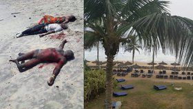 V Pobřeží slonoviny útočili ozbrojenci. Mezi mrtvými jsou i Evropané.