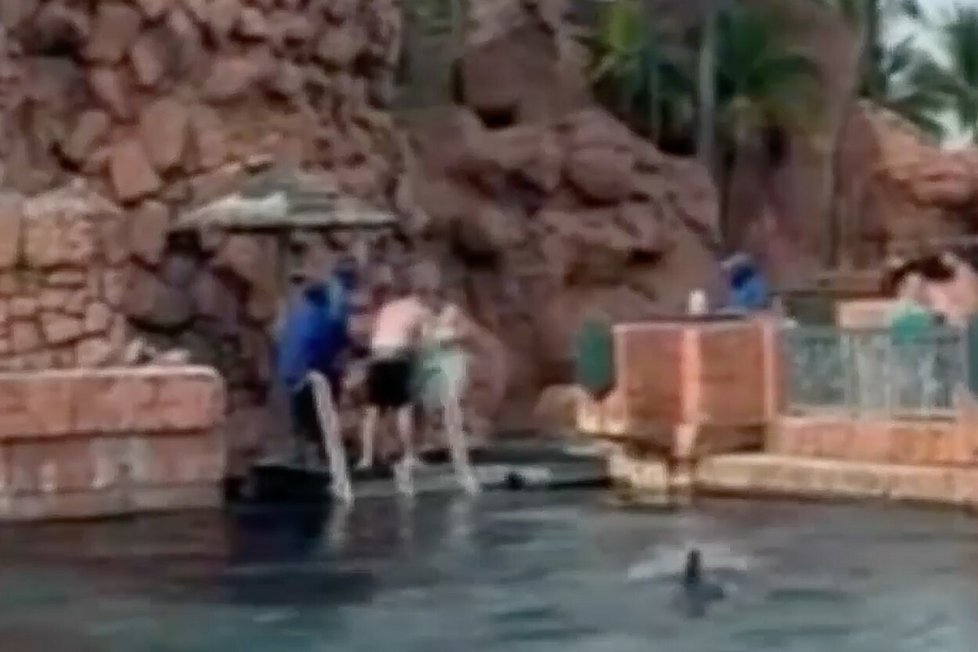 Horor v dovolenkovém ráji. V rekreačním středisku žralok pokousal desetiletého chlapce!