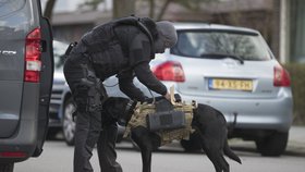 Nizozemská policie usilovně pátrá po střelci z Utrechtu, (18.03.2019).