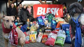 Dárky přivezli do útulku zástupci redakce Blesku a byla to opravdu hromada pomoci.