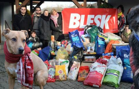 Pamlsky, pelíšky i krmení. Opuštění psi a kočky dostali dárky od Blesku