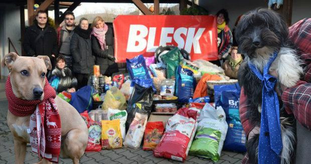 Pamlsky, pelíšky i krmení. Opuštění psi a kočky dostali dárky od Blesku