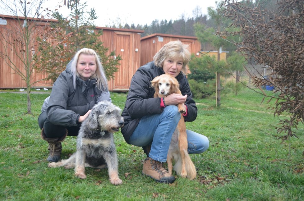 Svěřenci, o které se útulek stará, mají velmi pohnuté osudy. Většina z nich byla týraná. Vlevo dobrovolnice Petra Stupková, vpravo zakladatelka útulku Iva Volková